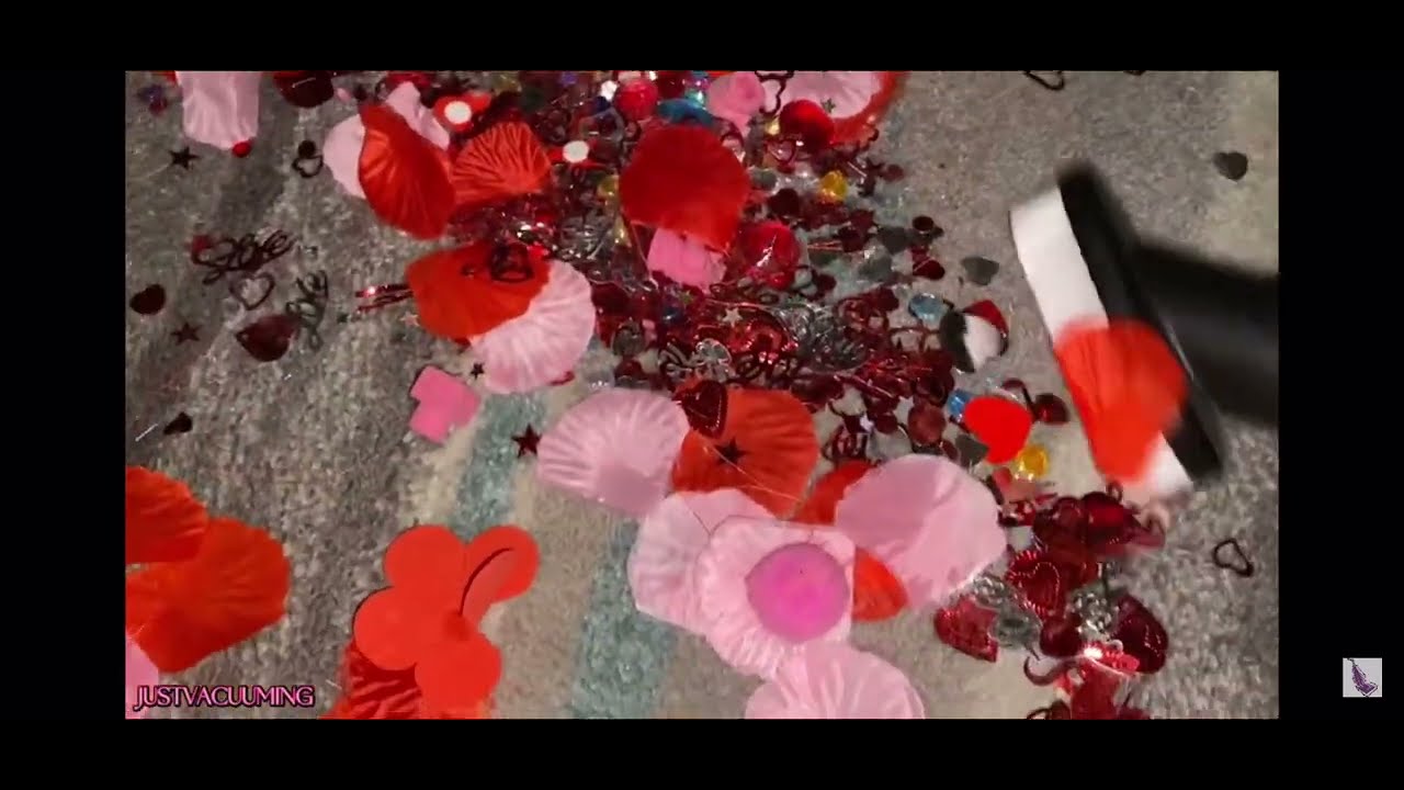 Dusting Brush Vacuuming Compilation for @avacss