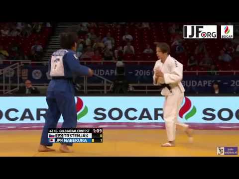 Judo 2016 Grand Prix Budapest: Trstenjak (SLO) - Nabekura (JPN) [-63kg] final