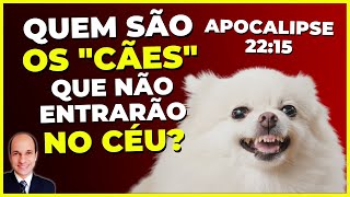 Quem são os CÃES de Apocalipse 22:15 Por que eles não entrarão no céu