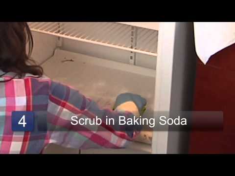 download lagu mp3 mp4 How To Clean Fridge With Fungus, download lagu How To Clean Fridge With Fungus gratis, unduh video klip How To Clean Fridge With Fungus