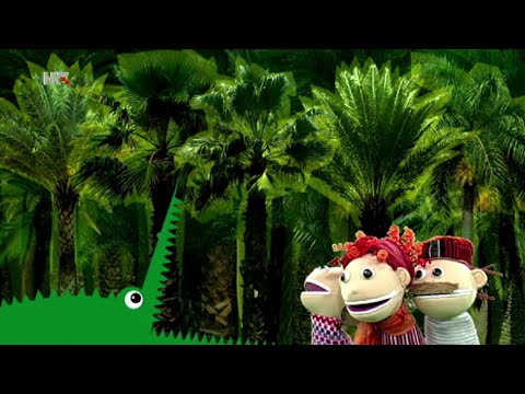 PJESMICE I BROJALICE - Mama Kukunka