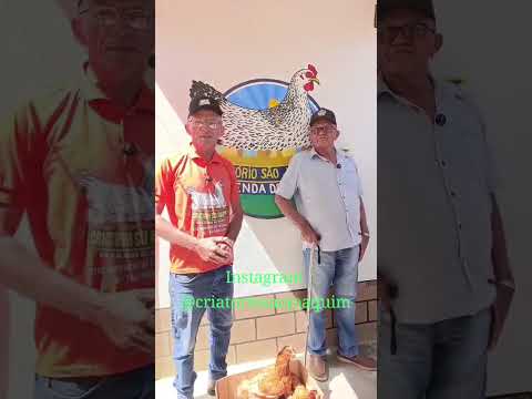 Criatorio São Joaquim Itaporanga PB