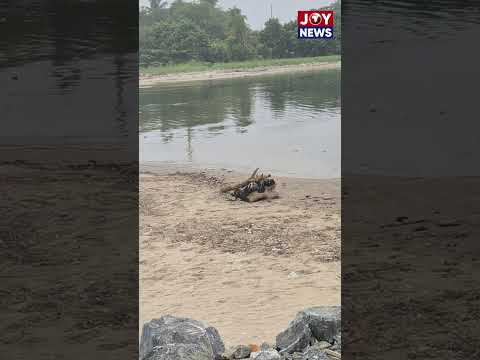 This is the Kpeshie Lagoon—not stagnant water. Plastic waste blankets parts of it