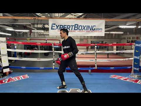 Southpaw Left Cross - punch technique