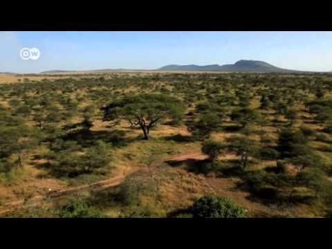 Tansania: Serengeti darf nicht sterben | Global 3000