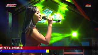 Download lagu BISANE MUNG NYAWANG - DEVIKA MAHARANI -  SANIA TERASA MUSIKNYA...!!! G - lop'Z Community mp3