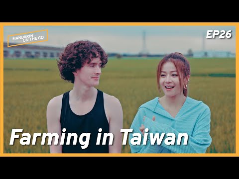 Bertie Tries His Hand at Farming | Ep. 26 | Mandarin on the Go