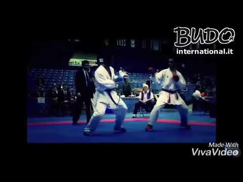 STEFANO MANISCALCO WORLD CHAMPION FIGTH