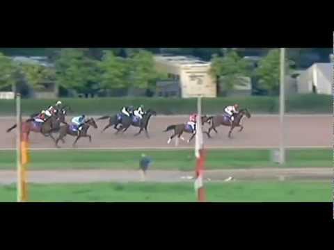 Derby-Pokal der Trabreiterinnen 2012_Zonnestraal VB 1:16,6_Sigrid Eichler
