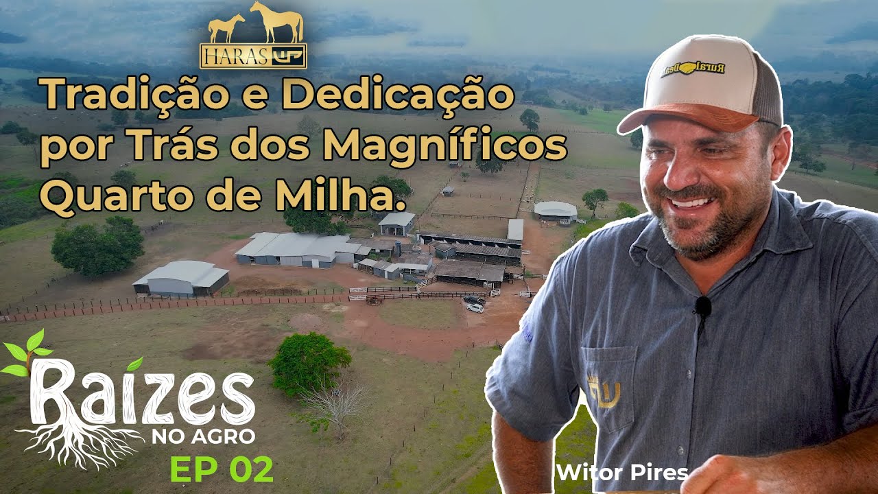 Haras WP: Orgulho Coloradense  na criação de cavalos quarto de milha. - Raízes no Agro (Ep 02)