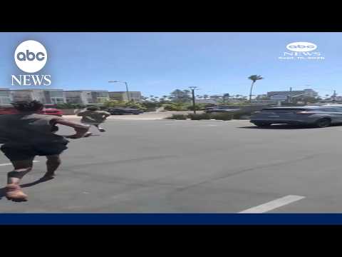 Bystanders chase down suspect after hit-and-run