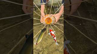 Download lagu Survival skills: simple but useful with pumpkin Fish traps #bushcraft #outdoors #lifehack #camping mp3