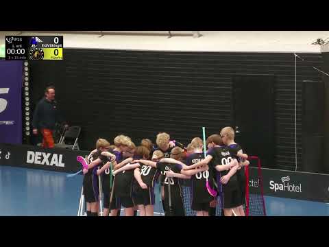 MAALIKOOSTE 1.3.2025 klo 12:30, P13 Kilpa: EräViikingit Musta - Hawks Black