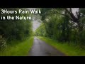 HEAVY RAIN WALK in FOREST 3H 4K | Bordeaux France 2021 / ASMR Rain Sounds for  Sleeping study