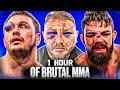 1 Hour Of Knockouts Brutal MMA Moments