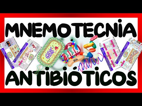 ANTIBIÓTICOS MECANISMO DE ACCIÓN - MNEMOTECNIA ANTIBIÓTICOS | GuiaMed