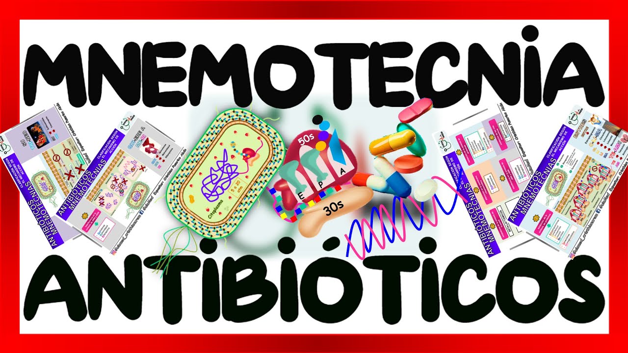 ANTIBIÓTICOS MECANISMO DE ACCIÓN - MNEMOTECNIA ANTIBIÓTICOS | GuiaMed
