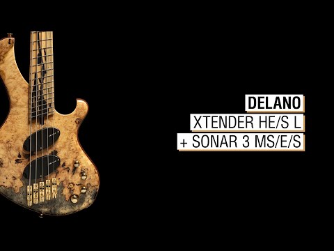 Delano Xtender HE/S L + Sonar 3 MS/E/S - Maruszczyk Frog 5a Multiscale NTB