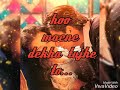 Tu Hi Wo Haseen Hai Jiski Tasveer Status