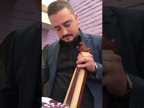 Sezer Kücük Hollanda