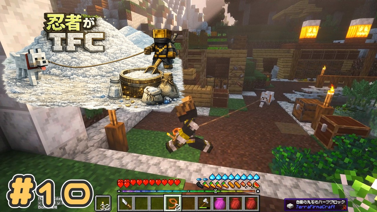 【Minecraft】忍者がTFC # 10 【TerraFirmaCraft】