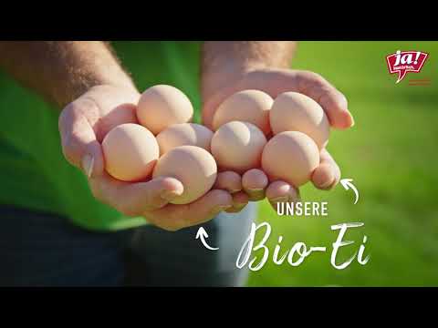 Besuch auf dem Bio-Bauernhof: unsere Bio-Eier