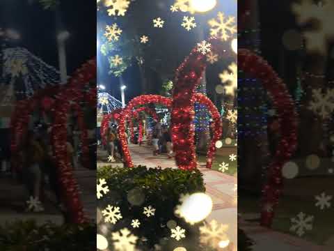 Llego la Navidad a Rio Chico, Municipio Paez, Estado Miranda🥳☃️🇻🇪#navidad2025 #findeaño #venezuela