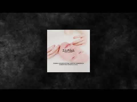 Zamna Soundsystem & ROZYO & Armonica Feat. Blu - Summertime Sadness (Original Mix)