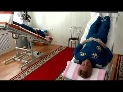 Expedition 40 41   Crew Activities in Baikonur Kazakhstan