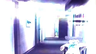 A delicate dance with god ~ {Kermit🎬