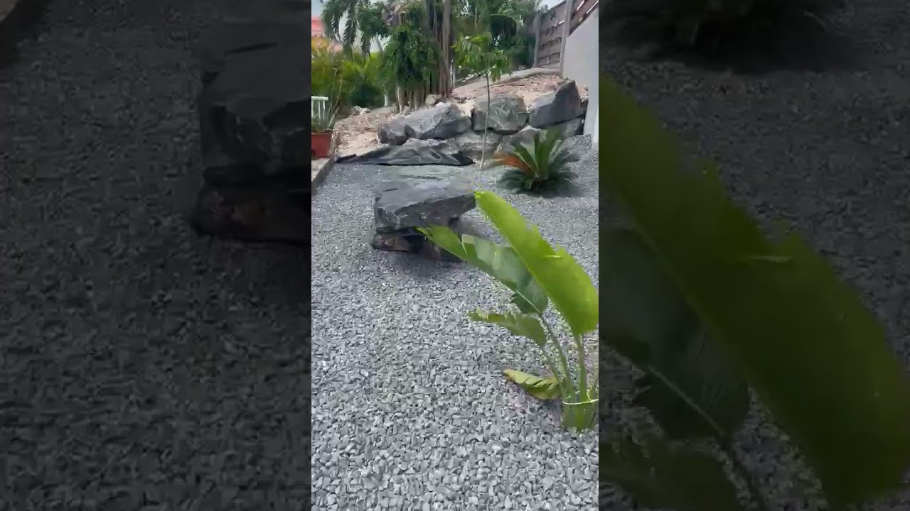 Vidéo externe