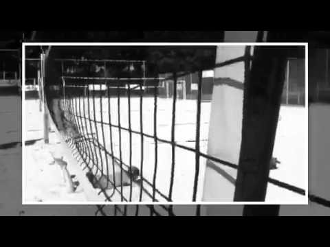 Summer Volleybal Apollo