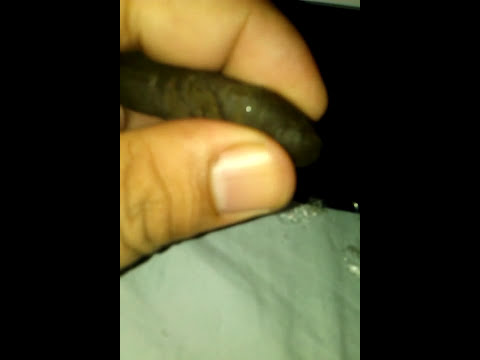 Butt Hash a.k.a. El Culero