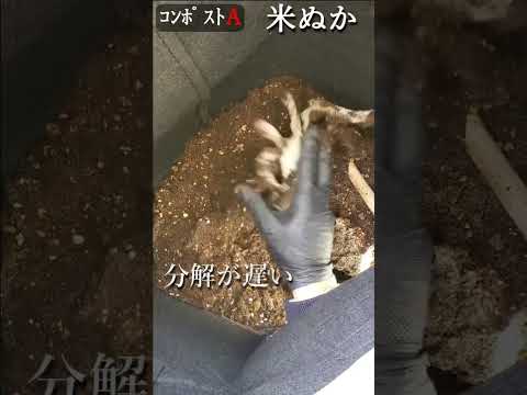 なぜ堆肥に灰を入れるのですか？潜在的な利点とリスク  庭園