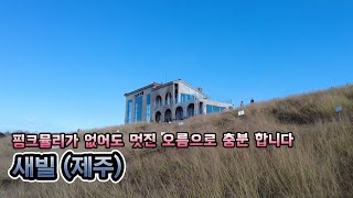 핑크뮬리 없을때 가도 좋은 새별오름 앞 멋진 카페! 제주 새빌 카페 추천