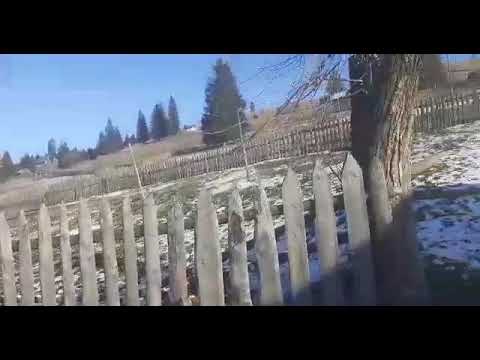 Paltinu comuna Vatra Moldovitei