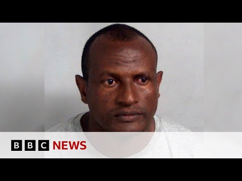Video | David Lammy tells UK MPs human error led to migrant sex offender release | BBC News