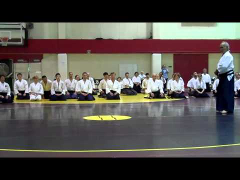 Chiba Sensei: Gedan kiriotoshi variation