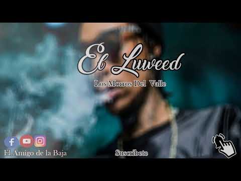 Los Morros Del Valle-El Luweed(CorridosVerdes2018)