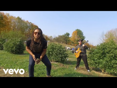 Roots of Creation - Light It Up (Official Music Video) ft. Mighty Mystic