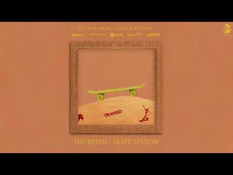 Video thumbnail for September - Skate Session