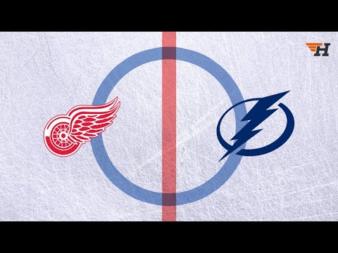 Red wings @ Lightning Stanley cup playoffs 2016