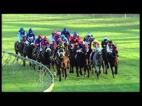 Greyville 27072013 race 7