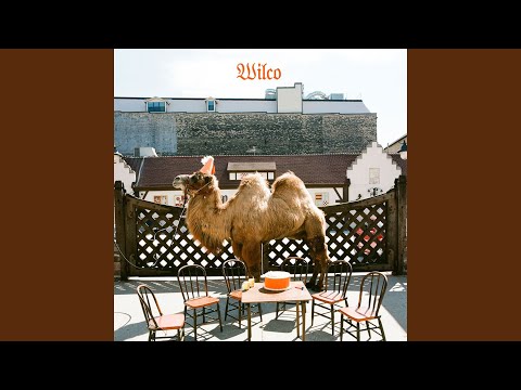 Sonny Feeling - Wilco