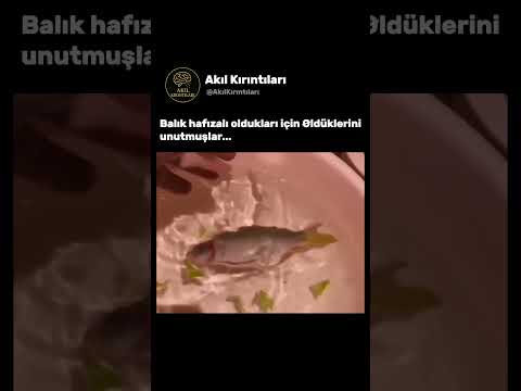 Yıllardır İnandığımız O Bilgi Meğer Yanlışmış! 🤯