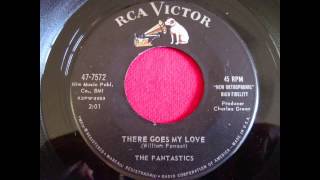 The Fantastics - There Goes My Love 45 rpm!