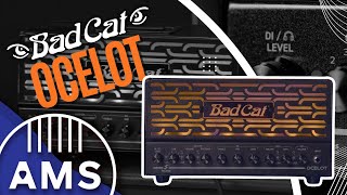 Video thumbnail for Bad Cat Ocelot All Tube Lunchbox Head | Pro-Level Tones in a Small Package by American Musical Supply