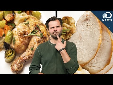 關於肉顏色深淺的科學概念 (The Science Of Dark vs. White Meat)