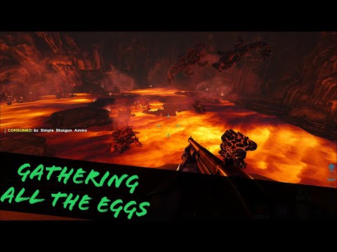 NEW SERVER! GETTING MY MAGMASAUR EGGS ON FOOT!