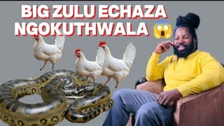 Download lagu Big Zulu echaza ukuthwala kwakhe ubuhle nobubi😱 mp3 Download lagu Big Zulu echaza ukuthwala kwakhe ubuhle nobubi😱 mp3
